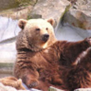 Meet your Posher, Jill